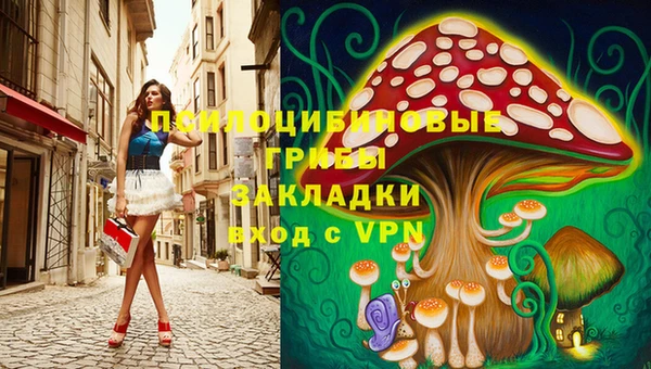 твердый Вязьма