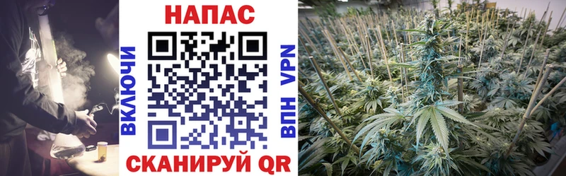 Купить  Калач-на-Дону  Каннабис гибрид 